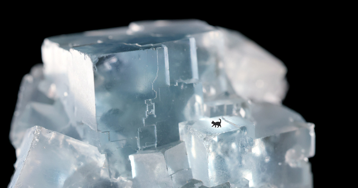 石の上を歩こう